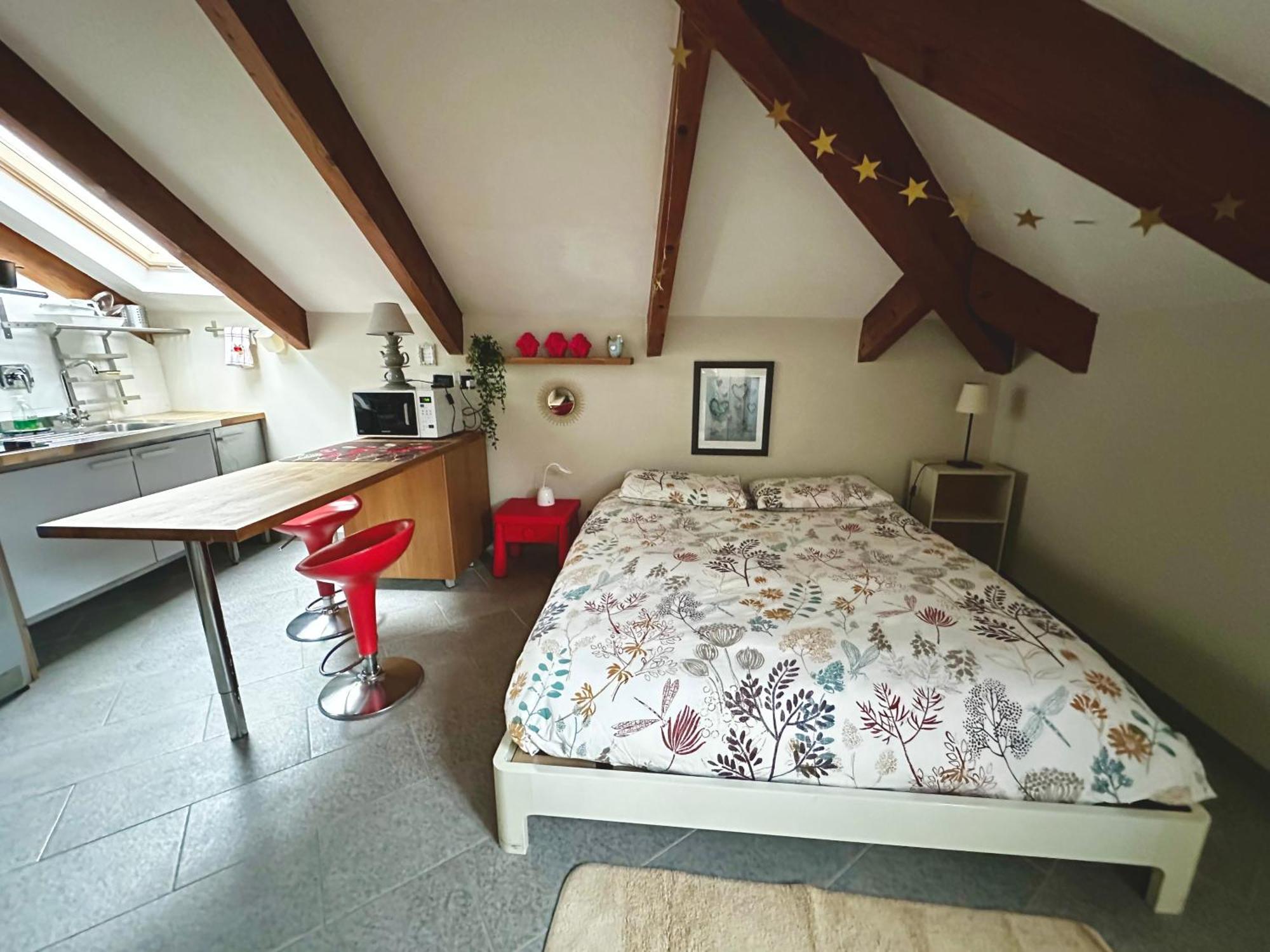 Loft Centro Storico Tommaso Daire Torino Dış mekan fotoğraf