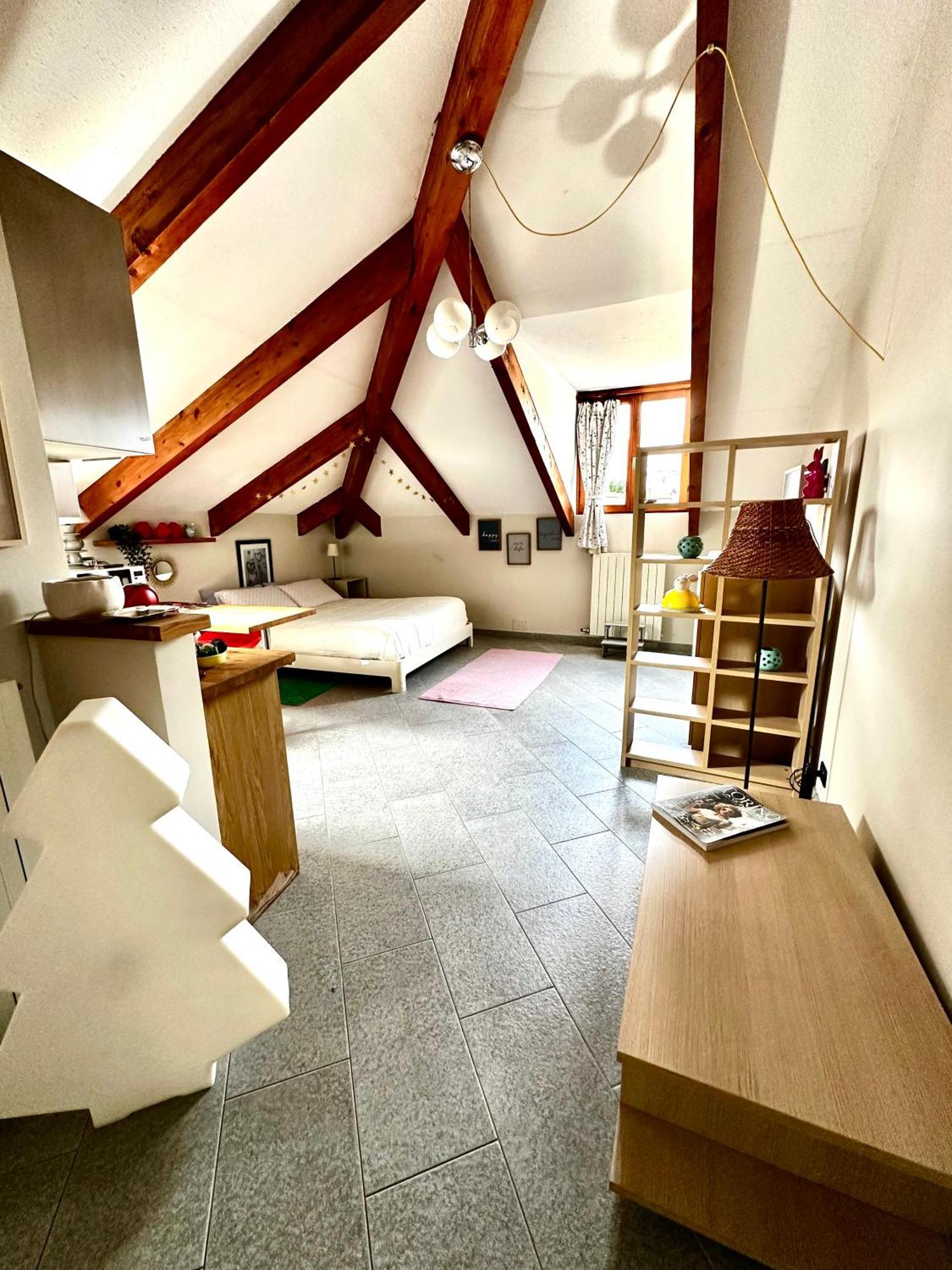 Loft Centro Storico Tommaso Daire Torino Dış mekan fotoğraf